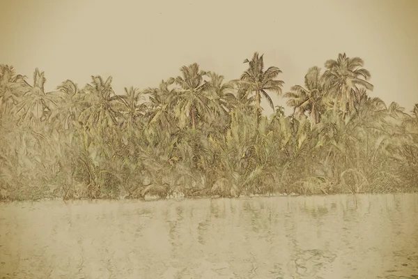 Palmiers au bord de la mer par une belle journée ensoleillée . — Photo