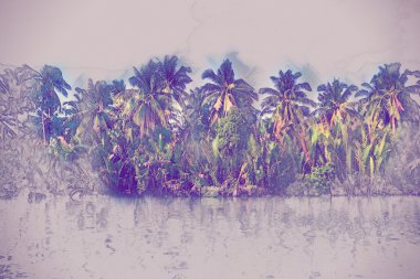 Güzel bir güneşli gün deniz sahilinde palmiye ağaçlarının.