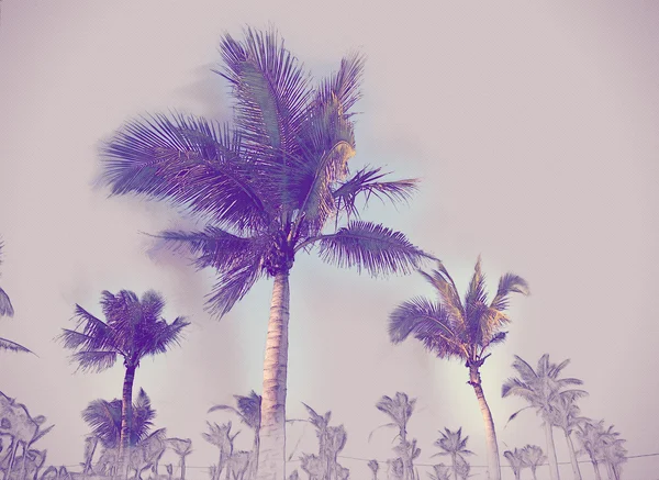 Palmiers contre ciel bleu — Photo