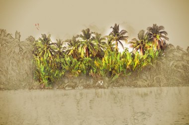 Güzel bir güneşli gün deniz sahilinde palmiye ağaçlarının.