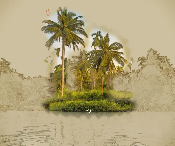 Güzel bir güneşli gün deniz sahilinde palmiye ağaçlarının. — Stok fotoğraf