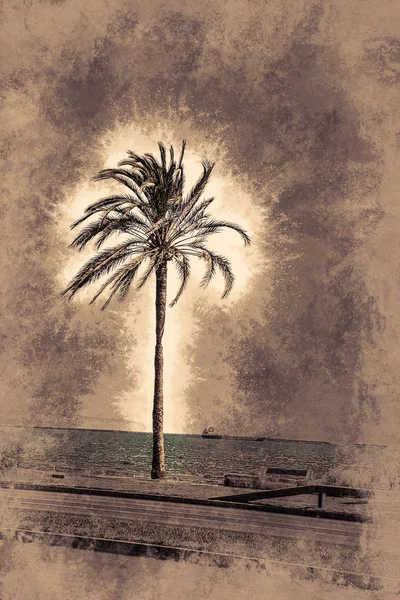 Palm trees along the coast in Palma de Mallorca — Stock Photo, Image