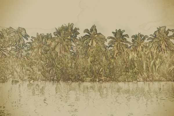 Palmbomen op zee kust bij mooie zonnige dag. — Stockfoto