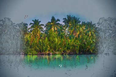 Güzel bir güneşli gün deniz sahilinde palmiye ağaçlarının.