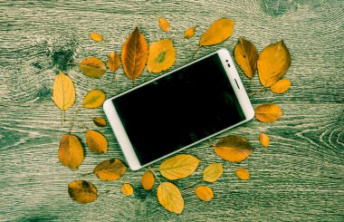 Beyaz modern tablet pc ile sonbahar yaprakları ile rustik klasik ahşap arka plan boş boş ekran.