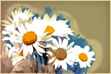 Mavi gökyüzü karşı papatya