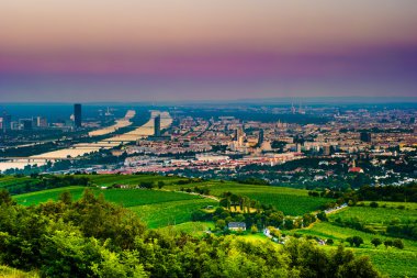 Viyana manzarası ve Tuna Nehri. Viyana, Avusturya.
