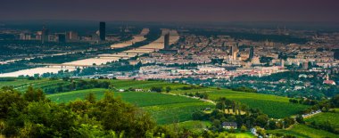 Viyana manzarası ve Tuna Nehri. Viyana, Avusturya.