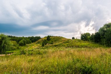 Yolu bir tepede kır çiçekleri ile