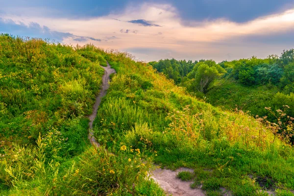 Weg auf einem Hügel mit Wildblumen — Stockfoto