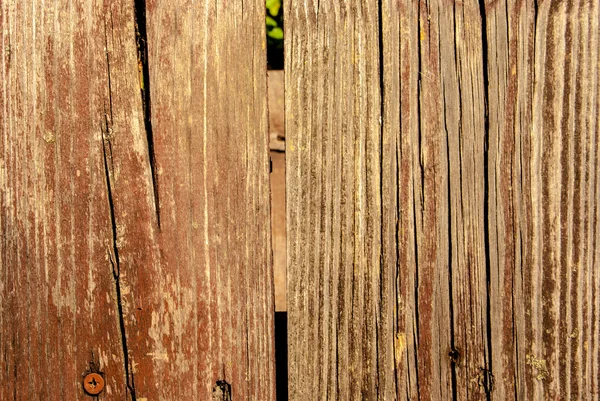 Old Shabby Wooden Planks — Stock Photo, Image