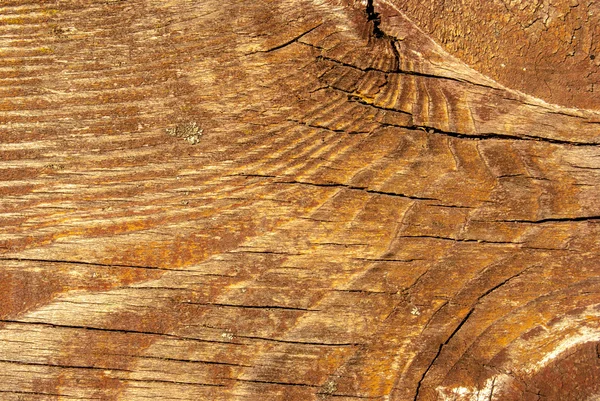 오래 된 허름한 나무 판자 — 스톡 사진
