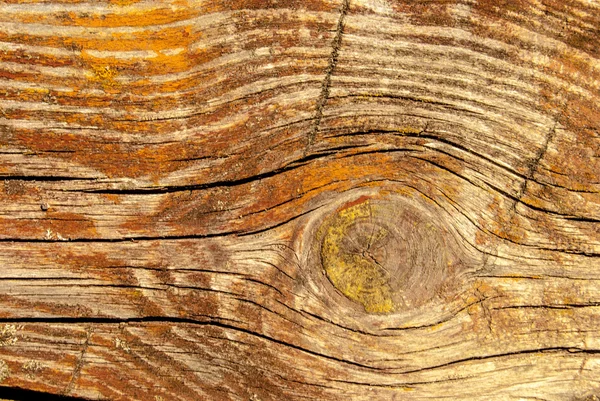 Παλιά shabby ξύλινες σανίδες — Φωτογραφία Αρχείου