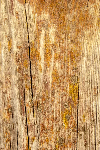 Παλιά shabby ξύλινες σανίδες — Φωτογραφία Αρχείου