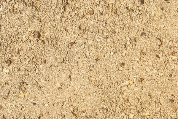 Concrete Texture — Stock Photo, Image