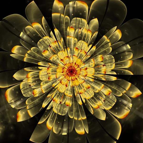 Fraktal kwiat — Zdjęcie stockowe