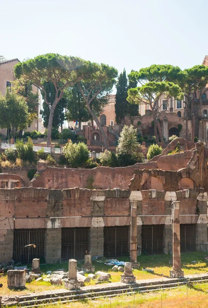 Ruins of the Roman Forum — Stock Photo, Image