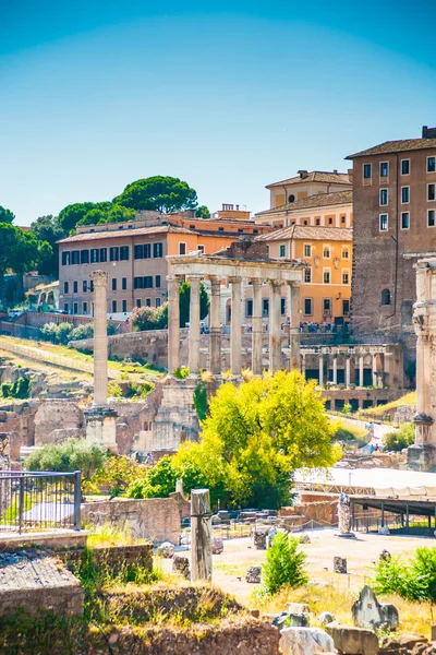 Ruinas del Foro Romano — Foto de Stock