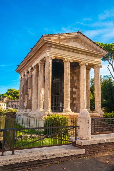 Temple of Fortuna Virilis — Stock Photo, Image