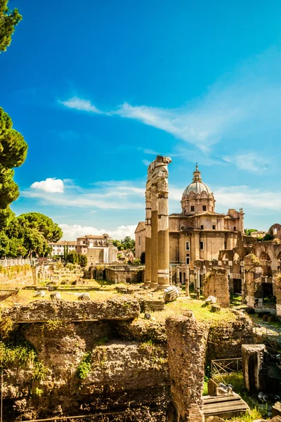 Ruins of the Roman Forum — Stock Photo, Image