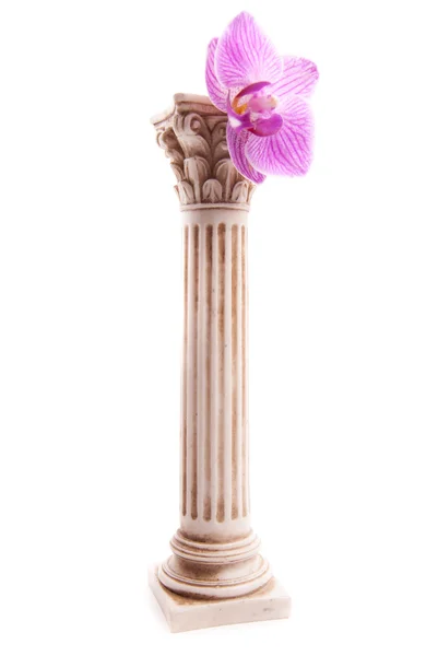 Coluna clássica com flor — Fotografia de Stock