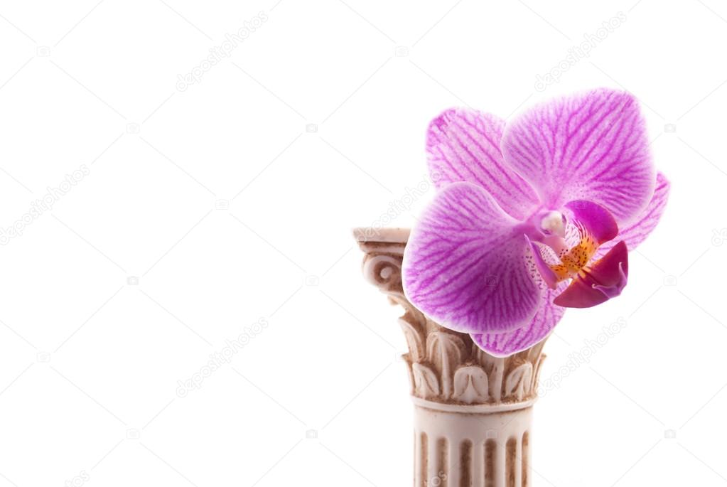 Classical column with flower
