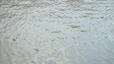 Küçük parlak dalgalar