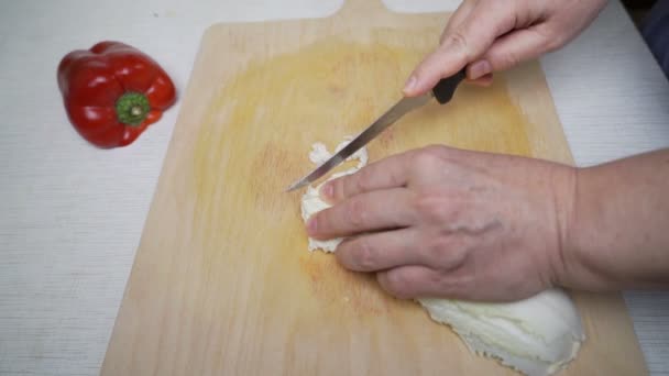 Cebolla cortada a mano femenina — Vídeo de stock