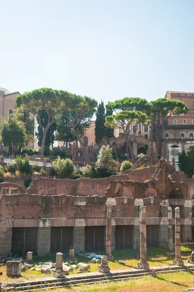 Ruins of the Roman Forum — Stock Photo, Image