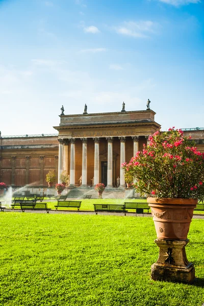 Belvedere Courtyard — Stock Photo, Image