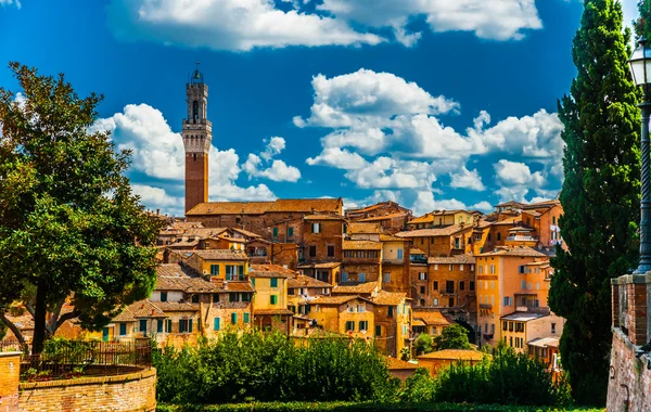 Panorama van siena — Stockfoto