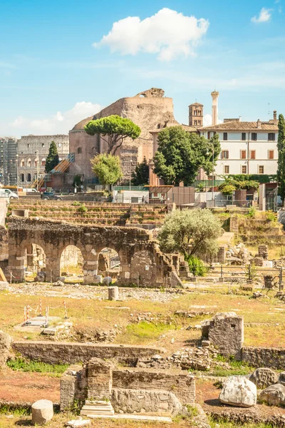 Ruins of the Roman Forum — Stock Photo, Image