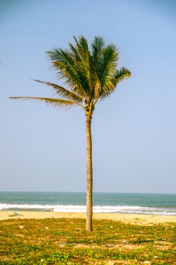 Avuçlar mavi gökyüzüne karşı