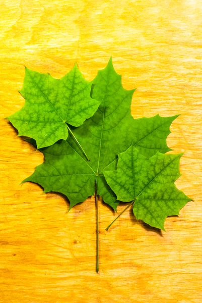 Leaves on wood background — Stock Photo, Image