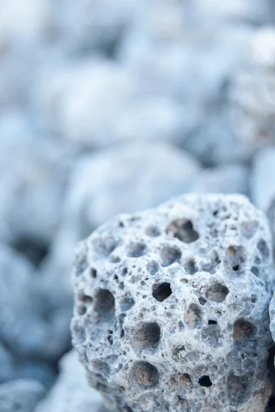 Pedra-pomes na praia do mar — Fotografia de Stock