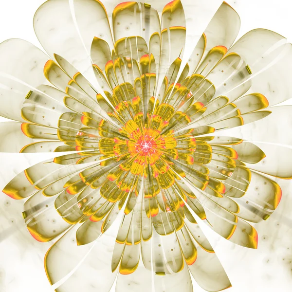 Fleur fractale — Photo