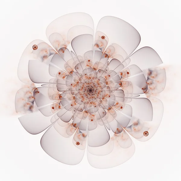 Flor fractal — Foto de Stock