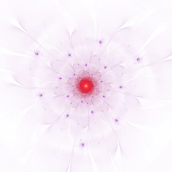 Fractal flower — Stock Photo, Image