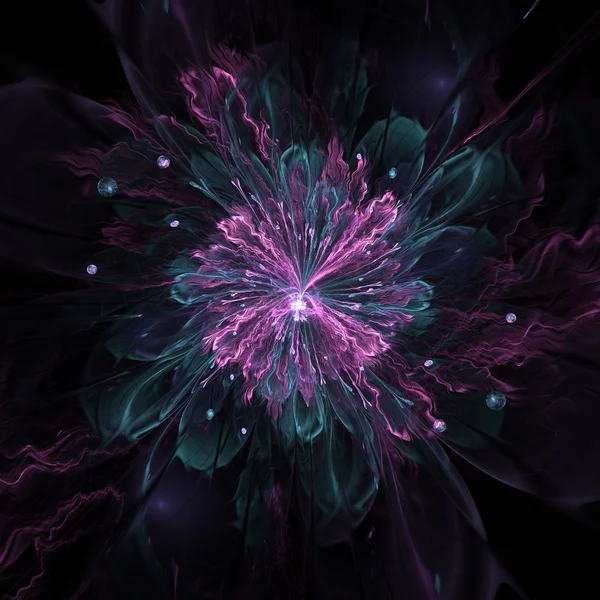 Fractal flower — Stock Photo, Image