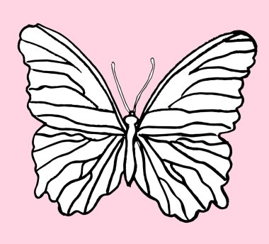 elle çizilmiş kelebek