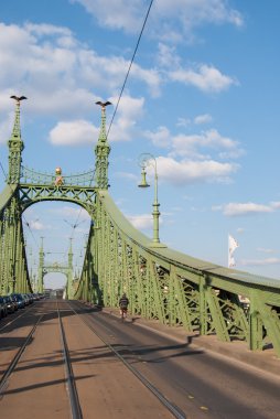 Budapeşte 'de özgürlük köprüsü