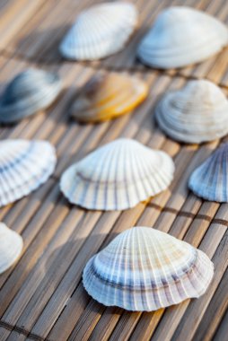 kabukları ahşap mat