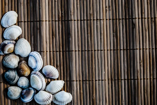 Conchas em esteira de madeira — Fotografia de Stock