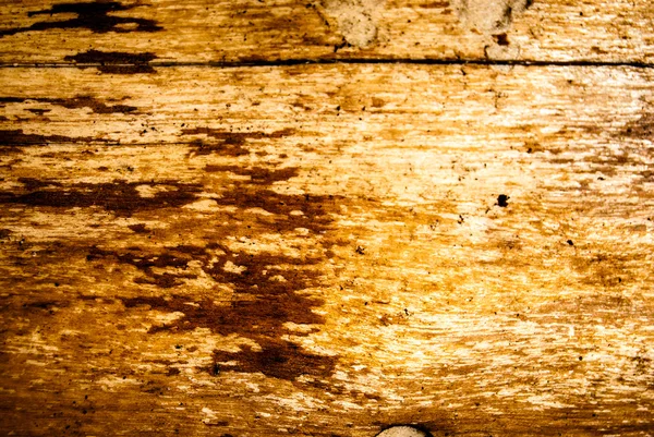 Wood damaged by bark beetle — Stock Photo, Image