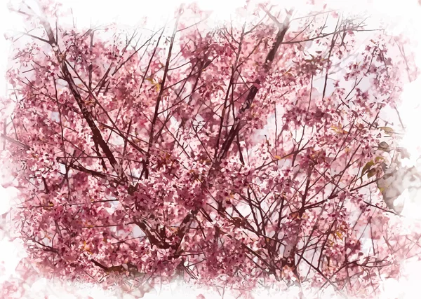Árvore de damasco florido —  Vetores de Stock