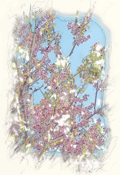 Albaricoque floreciente — Archivo Imágenes Vectoriales