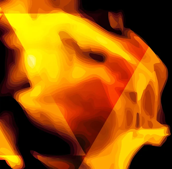 Fuego en formato vectorial — Vector de stock