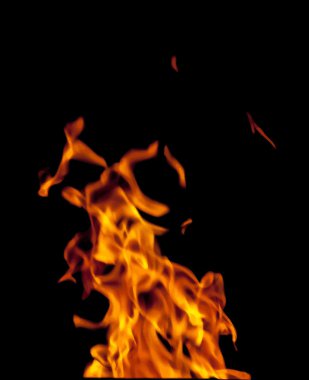 Vektör formatında ateş