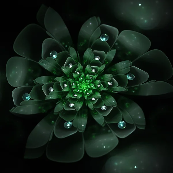 Fractal flower — Stock Photo, Image