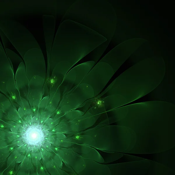 Fractal flower — Stock Photo, Image